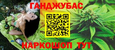 сатива Славгород