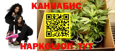 сатива Славгород