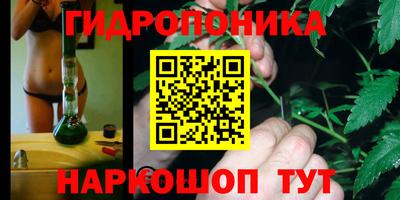 сатива Славгород
