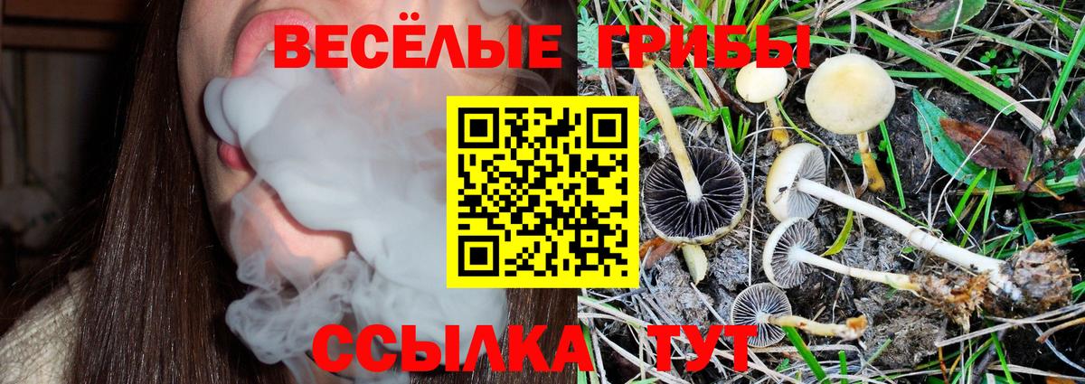 Галлюциногенные грибы мицелий  Вход с VPN  Отрадный  Псилоцибиновые грибы ЛСД 