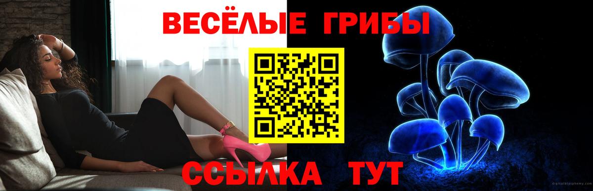 Псилоцибиновые грибы Cubensis Отрадный